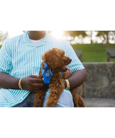 RUFFWEAR Front Range Medium Dog Collar - Adjustable Length, Comfortable Fabric, Aluminium V-Ring - 36-51cm - Spring Fade - Buy Online on GoSupps.com