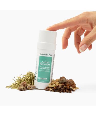 Charlotte's Web Active Recovery Muscle & Joint Pain Relief Stick 1oz - Buy Online on GoSupps.com