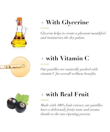 DOOLITTLE Dr Classic Soft Fruit Pastilles for Voice and Throat Blackcurrant Flavor 2.12 Ounce Tin Approximately 25 Count Package 3 Pack - Buy Online on GoSupps.com