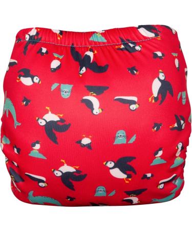 TotsBots Reusable Swim Nappy - Pool Safe, Easy On & Off - Eco-Friendly UK Made - Puffling Paddle (Size 2 20-35lbs) - Buy Online on GoSupps.com