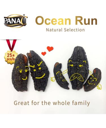 PanaC Canadian Dried Wild Sea Cucumber 454g - 0 Trans 0 Cholesterol Low Sodium Great Source of Protein Quality Assured Superfood 454 g (Pack of 2) - Buy Online on GoSupps.com