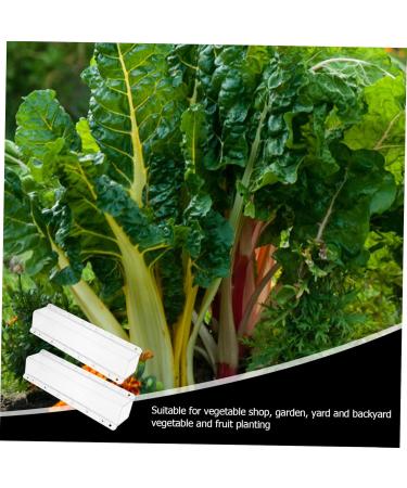 OFFSCH 2pcs Square Cucumber Vegetables Vegetable Nursery Mold Fruit Accessories Gourd - Buy Online on GoSupps.com
