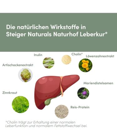 Steiger Naturhof Leberkur - Vegan Liver Health Support with Artichokes Choline Vitamin E & B12 - 60 Capsules for 1 Month - Buy Online on GoSupps.com