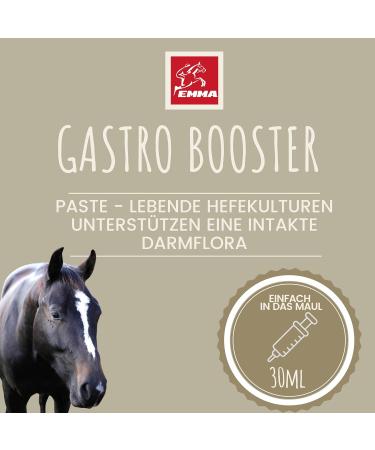 Gastrointestinal Paste Probiotics Brewer's Yeast Horse I Vitamin EI Yeast Culture Intestinal Flora Gastrointestinal - Vitamin I After Colic Skimmer Diarrhea Metabolism Horse 2 x 30 ml - Buy Online on GoSupps.com