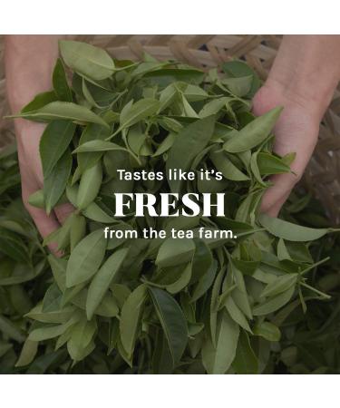 Uncle Leeâ€™s Organic Black Tea - Premium 100% Natural, Full-Bodied Flavor, 400 Tea Bags for HotIced Tea - Buy Online on GoSupps.com