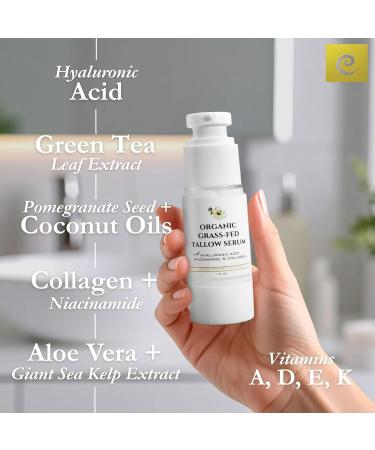 Eavara Beef Tallow Serum for Men & Women - Grass Fed All-Natural Tallow with Hyaluronic Acid, Collagen & Jojoba Oil - Firms & Reduces Wrinkles - Made in USA, Sensitive Skin Safe - 1.0 Fl Oz - Buy Online on GoSupps.com