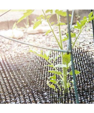 1Pc Cat Scat Mat Stop Cats from Digging with Anti Cats Net Prickle Strip for Home Repellent 13x49CM (Black) - Buy Online on GoSupps.com
