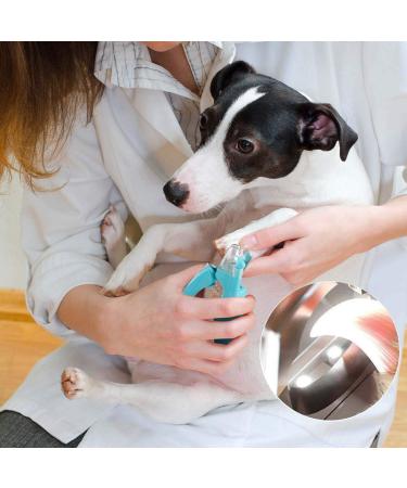 Professional Pet Nail Clipper with LED Light | Sharp Claw Cutter & Nail File for Small & Medium Dogs & Cats - Buy Online on GoSupps.com