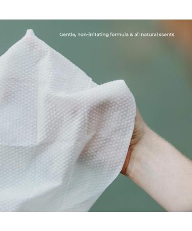 Goodwipes Really Big Body Wipes - Fresh Scent with Tea Tree Oil & Peppermint - 60 Count (6 Packs) - Buy Online on GoSupps.com