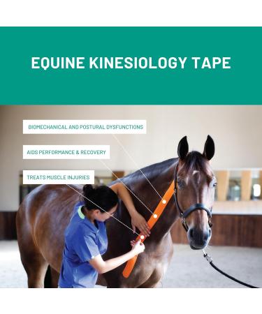 VetkinTape Canine & Equine Kinesiology Tape | Veterinary Medical Tape for Joint Support | Self-Adhesive Vet Wrap | Black 2.4in | Pack of 1 - Ultimate Pet Care Solution - Buy Online on GoSupps.com