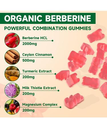 BVIVLOO Premium Berberine Gummies, 2000mg High Potency Berberine HCI Supplement, Plus Ceylon Cinnamon, Milk Thistle for Women & Men, Immune System & Metabolism Support - 60 Gummies - Buy Online on GoSupps.com