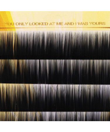 Buy Eyebrow Extensions - False Eyebrows in Plastic Box | Dust Proof & Sanitary 9mm 10mm 11mm - Shop Now for International Shipping - Buy Online on GoSupps.com