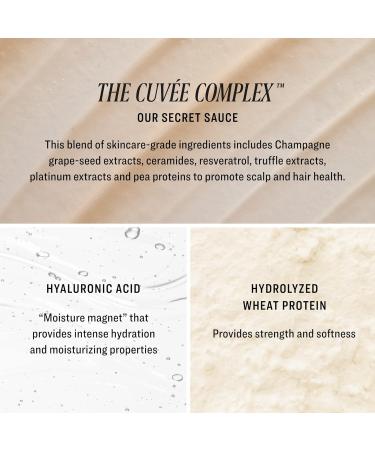 Cuvee Conditioner - 10 fl oz | Softens Strengthens Hydrates & Protects Hair | Hyaluronic Acid Champagne & Resveratrol | Color Safe Formula for All Hair Types - Buy Online on GoSupps.com