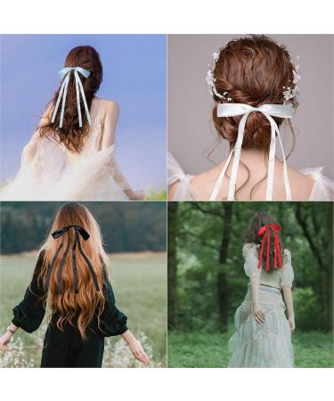 EUPSIIU 10 Pieces Hair Bows for Women Bow Hair Clips with Long Tails Hair Barrette Hair Ribbons Hair Accessories for Girls Women Silky Satin Ribbon Bows Hair Barrettes Bowknot Hairpins (10 Colors) - Buy Online on GoSupps.com