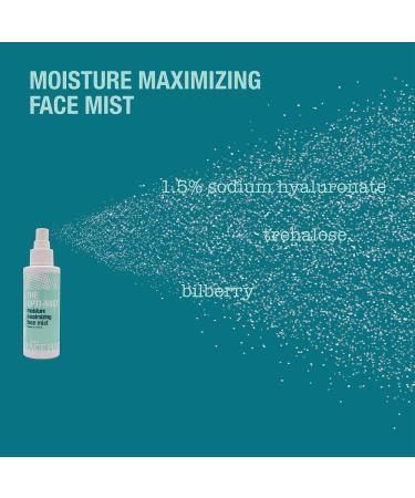 FACE HAUS The Optimist Facial Mist Spray - Alcohol-Free Hydrating Spritz with 1.5% Hyaluronic Acid & Glycerin 4 Oz | International Shipping Available - Buy Online on GoSupps.com