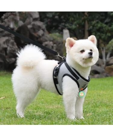 Adjustable Cat Leash Set with Reflective Stripes - Polyester Cat Vest & Dishes for Kittens & Dogs | International Shipping - Buy Online on GoSupps.com