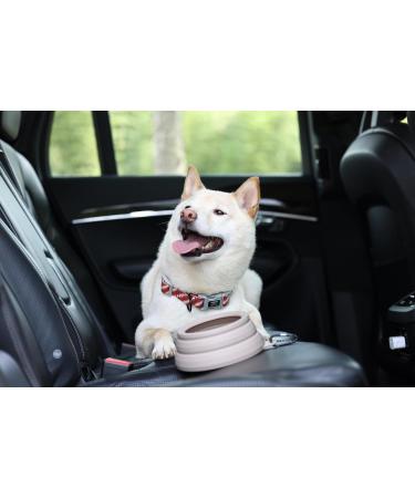 Ohmo Dog Travel Bowl - Portable Anti-Drool Foldable Pet Bowl (700ml Beige) | Perfect for Road Trips & Travel Accessories - Buy Online on GoSupps.com