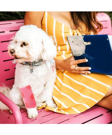 NOLITOY 18 Rolls Sports Wrap Tapes - High Elasticity Muscle Tape | Creative Non-Woven Bandages for International Shipping - Buy Online on GoSupps.com