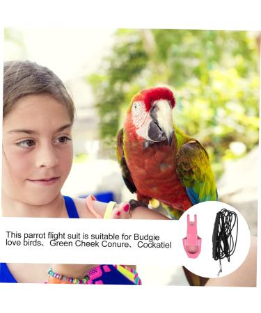 Angoily 2-Pack Parrot Diaper Flight Suit for Birds - Adjustable Uniforms with Suede Wavy Belt - Ideal for Nymphensittich & Pets - Buy Online on GoSupps.com