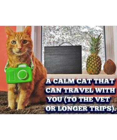 Pet MasterMind Cat Calming Spray - Stress Relief for Anxious Cats - Buy Online on GoSupps.com