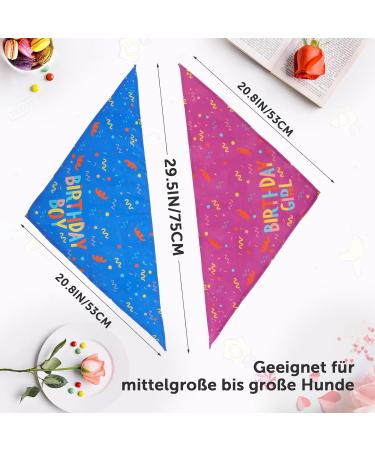 Dog Birthday Bandana Set - Hollow Birthday Accessories for All Sizes | Celebrate Your Dog's Special Day - Buy Online on GoSupps.com