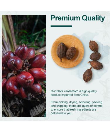 Soeos Chinese Cardamom Seeds 1lb - Premium Amomum Tsaoko Caoguo - Buy Online on GoSupps.com