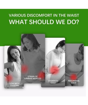 Self-Heating Back Support Belt - Comfortable Lumbar Support & Breathable Hip Belt for Pain Relief | International Shipping Available - Buy Online on GoSupps.com
