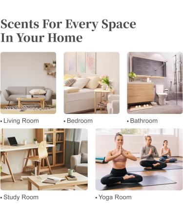 MAYJAM 100ML Peach and Bay Rum Fragrance Oils Essential Oils - Buy Online on GoSupps.com