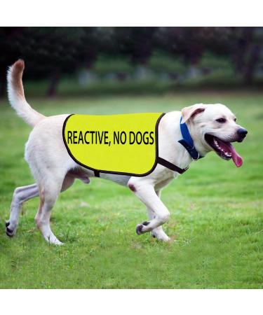 Reactive Dog Jacket Vest Reactive No Dogs Dog Slogan Vest Social Distancing Gift (Reactive No Dogs-Large) - Buy Online on GoSupps.com