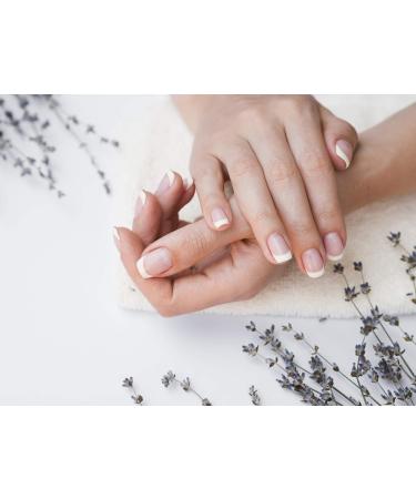 Macadamia Nut Lemon Freckle Hand Cream - Hydrating 1.3 oz | Buy Internationally - Buy Online on GoSupps.com