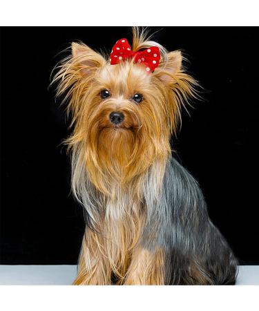 DORUI Dog Bows 70 Pcs Metal Clips - Cute Patterns Topknot Bows for Small Dogs - Pet Grooming Hair Accessories - Buy Online on GoSupps.com