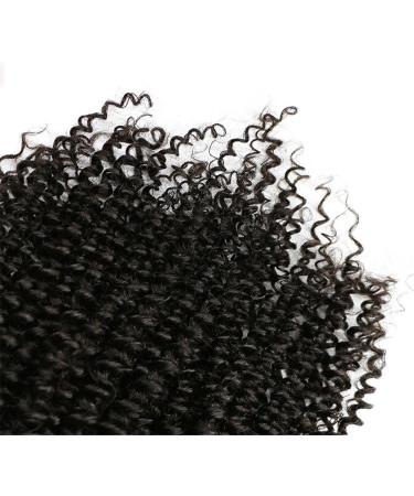 8 Piece Clip-In Extensions 100% Remy Human Hair - Virgin Afro Kinky Curly Hair 1# Black 120g 14-Inch - International Shipping Available - Buy Online on GoSupps.com