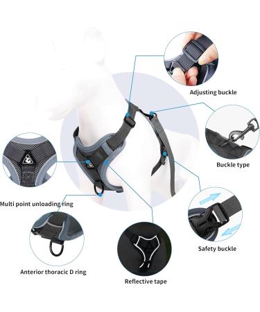 QKTYB Cat Harness and Retractable Dog Lead Set - 5m/16.4 Ft Extendable Leash - Soft Harness for Cats and Small Dogs - Grey (S) - Buy Online on GoSupps.com