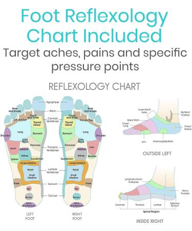 Vive Wooden Foot Massager - Dual Roller for Plantar Fasciitis & Stress Relief - Deep Tissue Shiatsu Therapy - Reflexology Chart Included - Acupressure for Feet & Leg Muscles - Buy Online on GoSupps.com