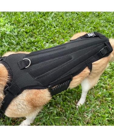 Dog Back Brace IVDD Pet Hip Brace Support with Leash Comfortable Dog Spine Support Vest for Small and Medium Sized Pets with Arthritis Herniated Disc Or Spinal Surgery Recovery (XL) - Buy Online on GoSupps.com