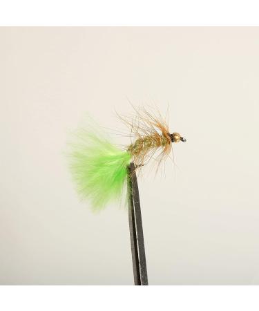 ANGLER DREAM Fly Fishing Flies with Waterproof Fly Box Kit for