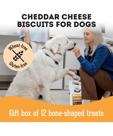 The Granville Island Pet Treatery|Gift Box Cheese Biscuits for Dogs All Natural & Chemical- Free Great As A Hostess Gift Or Thank You Made in Canada|06960 Cheese 200 g (Pack of 1) - Buy Online on GoSupps.com