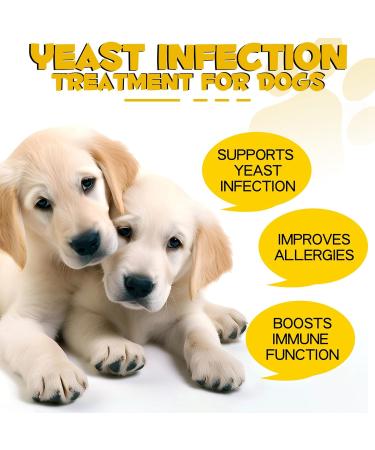 Natural Yeast Infection Drops for Dogs - Itch, Ear Infection, Allergy Relief - Herbal Bacon Flavor - 2 Fl Oz - Buy Online on GoSupps.com