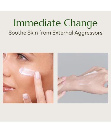 Artichoke Calming Care Soothing Cream - Hydrating Daily Moisturizer for Sensitive Skin | Korean Skincare - 3.4 fl. oz - International Shipping Available - Buy Online on GoSupps.com