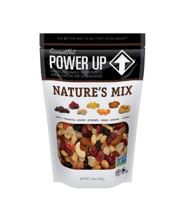 Power Up Trail Mix, Nature's Mix Trail Mix, Non-GMO, Vegan, Gluten Free, No Artificial Ingredients, Brown, 14 Oz Nature's Mix 14 Ounce (Pack of 1)