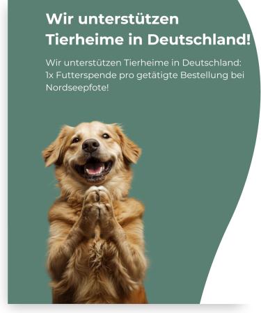 Buy Journey Tablets for Dogs - Green Lipped Mussel MSM Glucosamine & Devil Claw | 100 Pieces Made in Germany 6-Month Supply - Buy Online on GoSupps.com