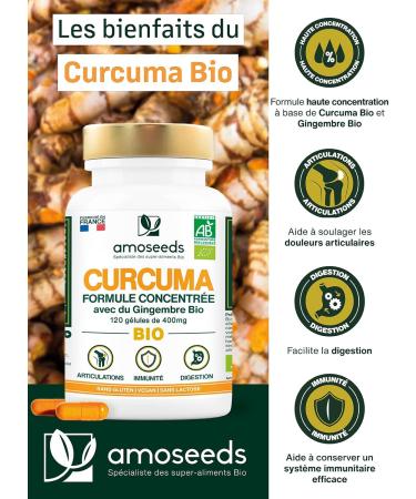 High Concentration Organic Turmeric | With Organic Ginger | High Absorption Curcumin | Piperine Free | Seals | 120 Capsules | Top Quality - Buy Online on GoSupps.com
