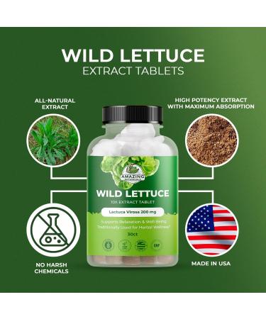 Amazing Botanicals Wild Lettuce Extract Tablets 10X (30 Tablets) 2,000MG Each | Lactuca Virosa | Sleep Support | Helps Naturally Soothe Pain 30 Count (Pack of 1) - Buy Online on GoSupps.com