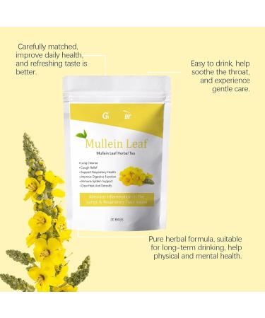 Sachets De Tisane Purifiante La Feuille Mol ne for Une Meilleure Fonction Pulmonaire. Th rapie Naturelle Le Corps Rafra chissante Et Facile Pr parer.(2PCS) - Buy Online on GoSupps.com