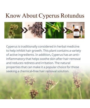 Cyperus Rotundus Oil for Hair Removal 2 PACKS 100% Pure Natural Cyprus Oil Organic Herbal Cypress Root Extract for Smooth Skin, Reducing Body Hair Growth, Ingrown Hair & Nourishment 60ml - Buy Online on GoSupps.com