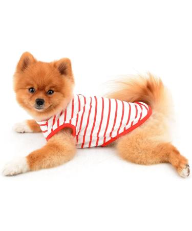 Paidful British Little Dog Shirt - Soft Cotton T-Shirt for Puppies & Small Breeds | Striped Cat Vest | Summer Tank Tops for Chihuahua Yorkie | XL/XXL Sizes Available - Buy Online on GoSupps.com