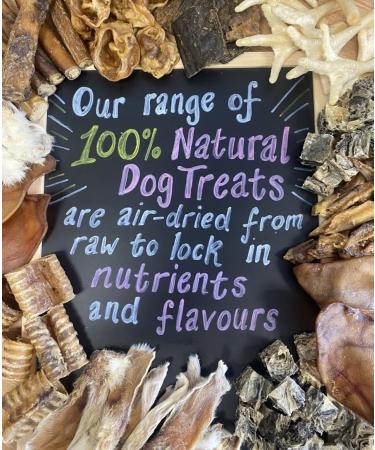 100g Camel Skin Natural Dog Treats Chews - Hypoallergenic & Sourced from Sustainable Livestock - SLCP - Buy Online on GoSupps.com