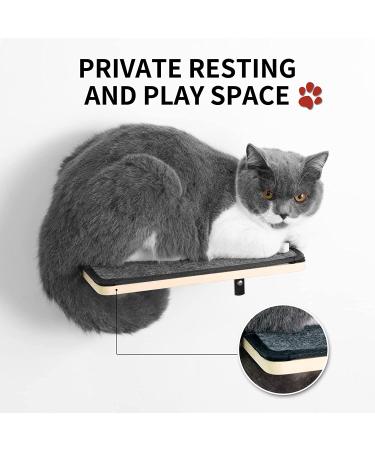 Wall Mounted Cat Hammock Shelf with Solid Rubber Wood Steps - Hanging Perches for Sleeping, Playing, and Climbing - Buy Online on GoSupps.com
