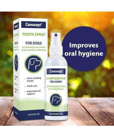 Canosept Dental Care Spray for Dogs 100ml - dog breath freshener - dog dental spray - dog mouthwash - plaque remover for dogs teeth - Dog teeth cleaning products for dental care and oral hygiene 100 ml (Pack of 1) - Buy Online on GoSupps.com
