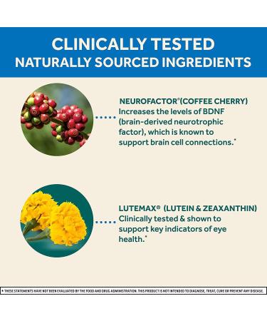 Neuriva Brain + Eye Support Capsules (30 ct) | Vitamins A C E, Zinc, Zeaxanthin, Antioxidants | Blue Light Filter, Decaf | 2-Pack, Vegetarian, Gluten & GMO Free - Buy Online on GoSupps.com